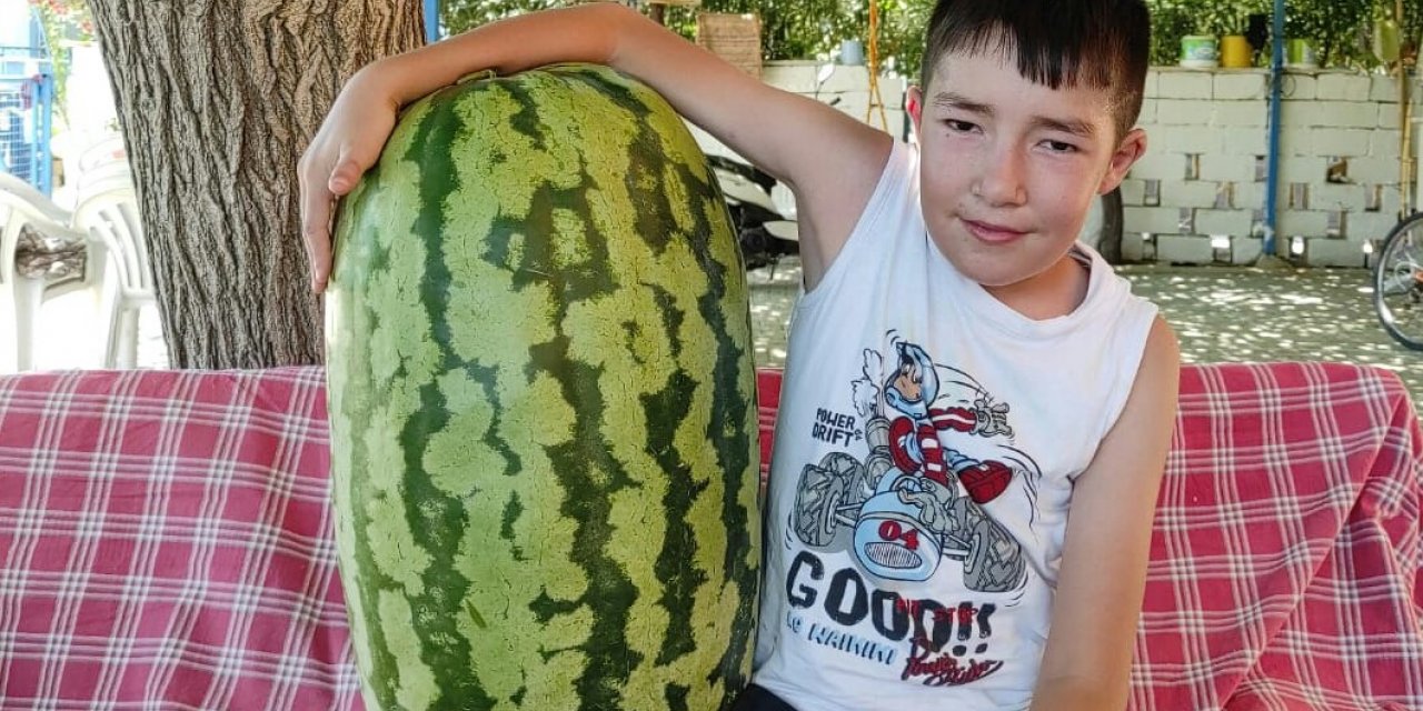 Sarıgöllü üretici devasa karpuz yetiştirdi