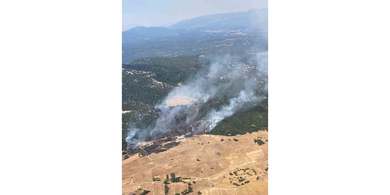Antalya Kaş’ta orman yangını kontrol altına alındı