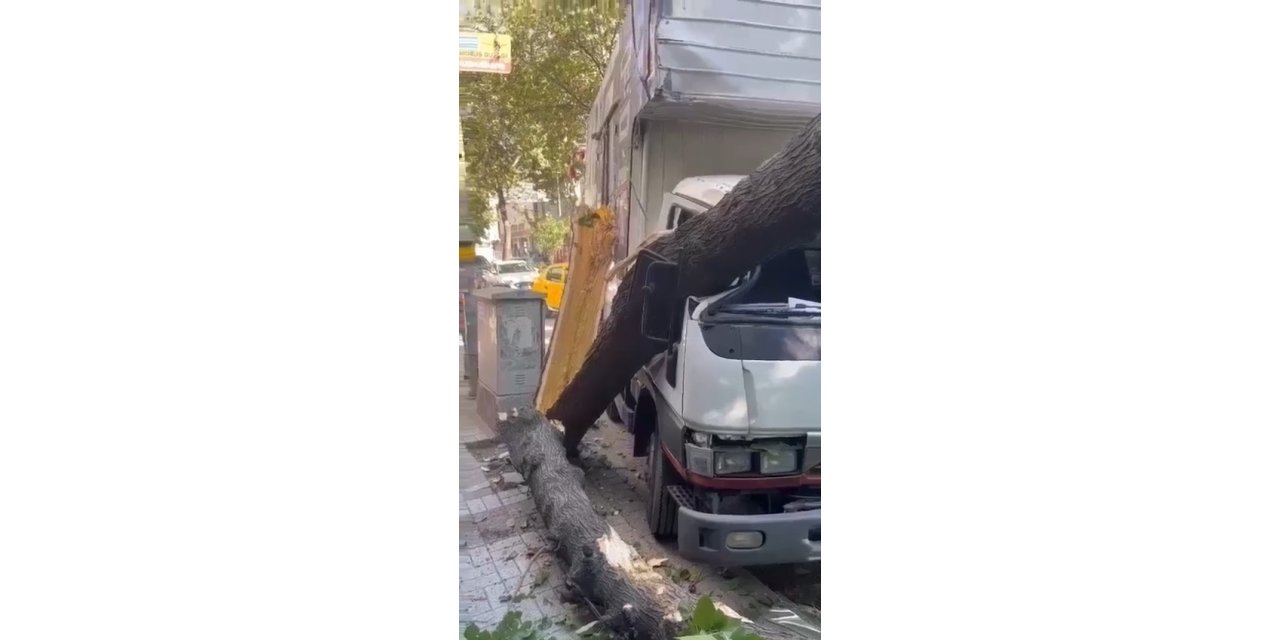 Ağaç kamyonetin üzerine devrildi