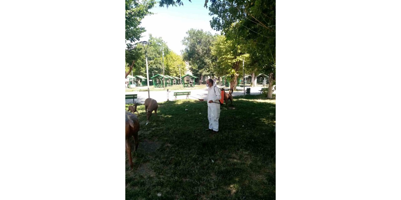 Kars Belediyesi parka ve bahçeleri ilaçlıyor