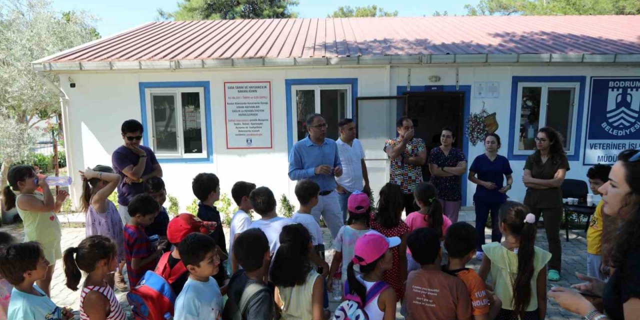 Bodrum’da öğrenciler can dostlar ile bir araya geldi