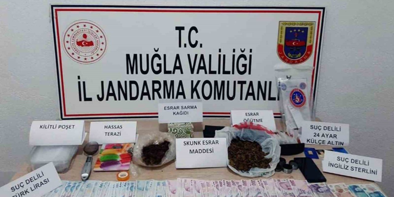 Muğla’nın 7 ilçesinde uyuşturucu operasyonu