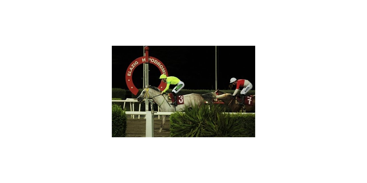 Elazığ İl Tarım Müdürlüğü Koşusu’nu ’Dörtnalbeyi’ kazandı