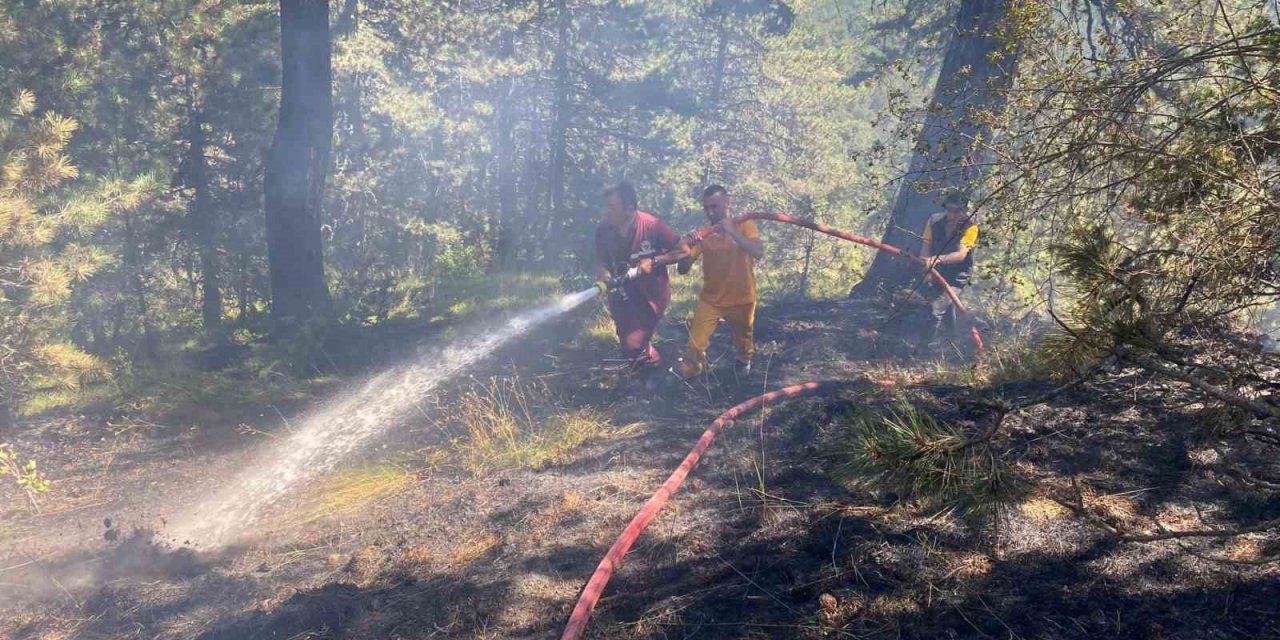 Bolu’da orman yangını büyümeden söndürüldü