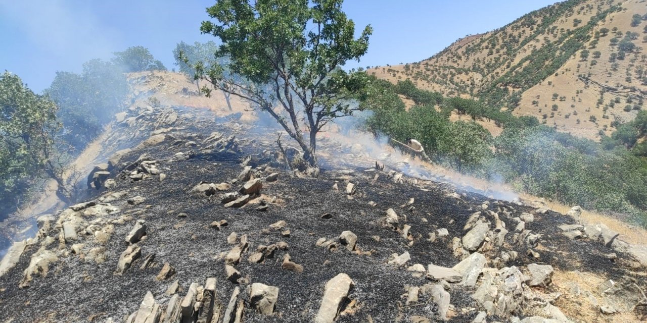 Siirt’te ormanlık alanda çıkan yangın söndürüldü