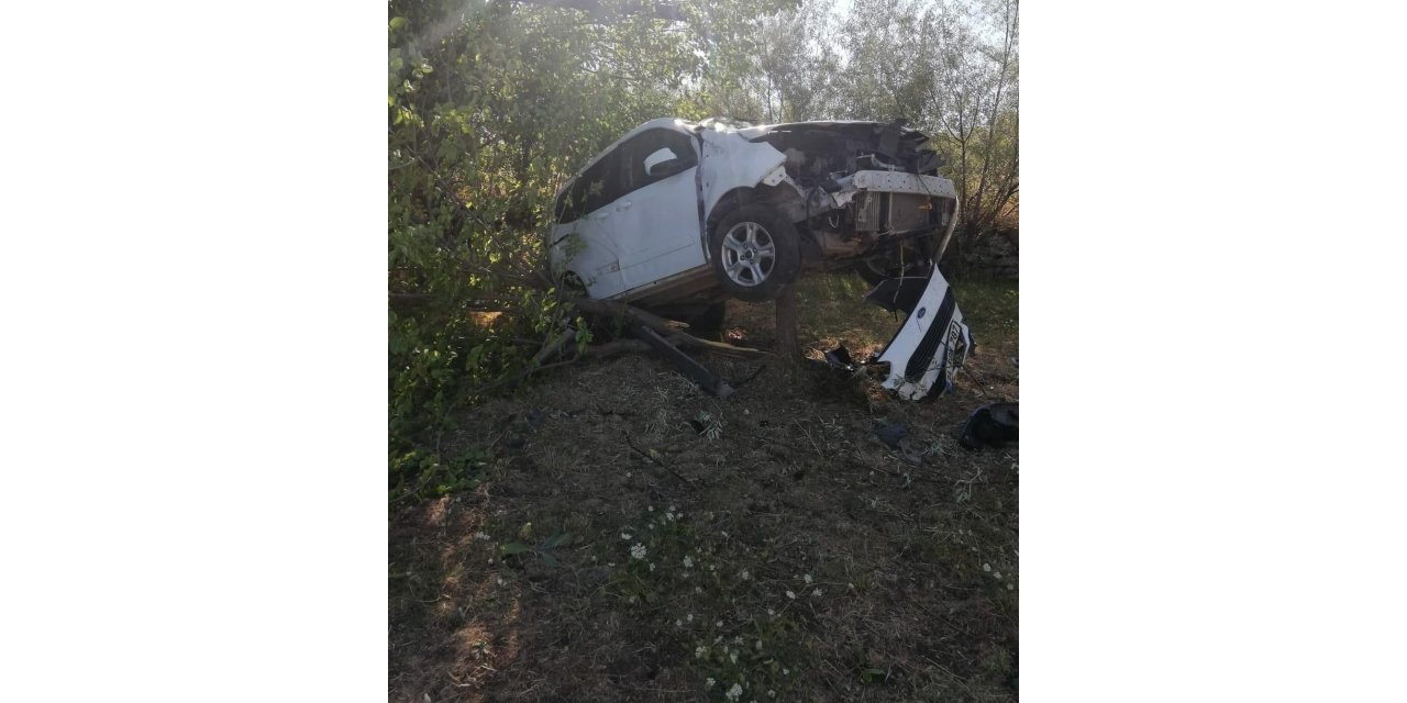 Sürücü kontrolünü kaybetti, ağacı kıran araç asılı kaldı