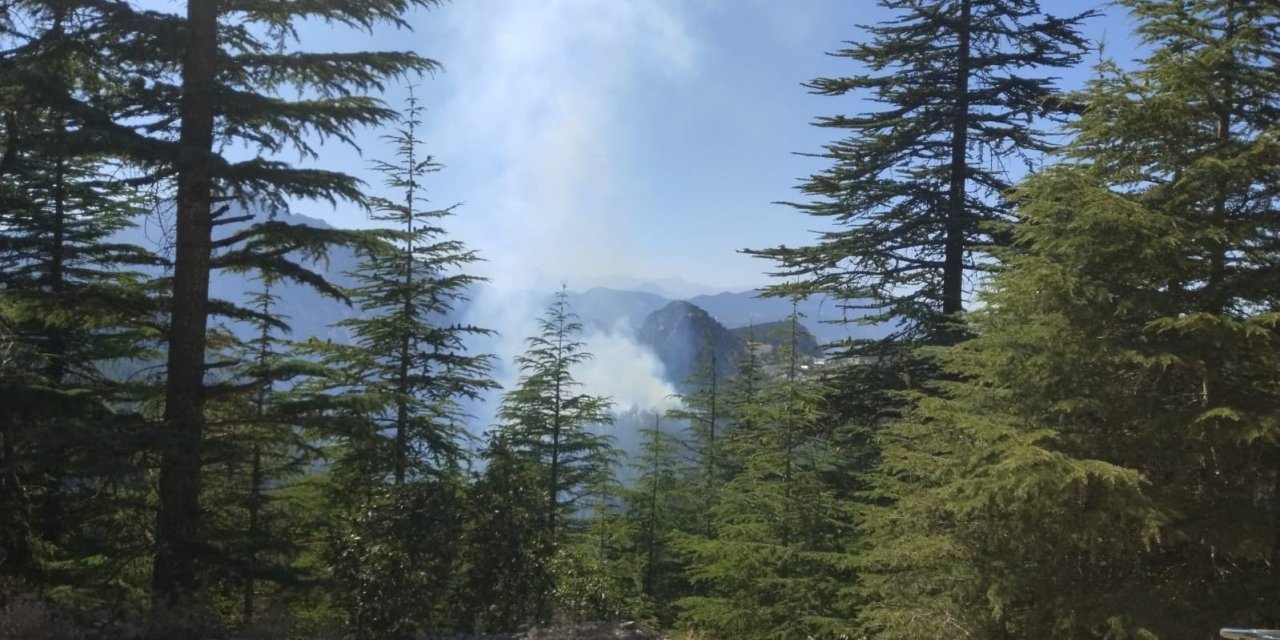 Adana Feke’deki orman yangını kontrol altına alındı