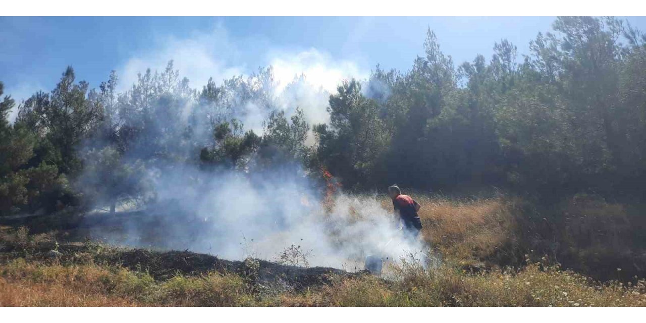 Amasya’da çıkan yangın ormanlık alana sıçradı