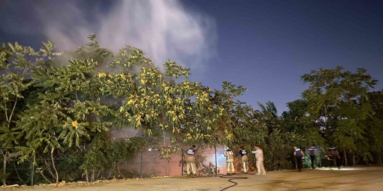 Veliefendi Hipodromu önündeki yangında kundakçı şüphesi: Hipodromun karşısındaki iki ayrı noktada yangın