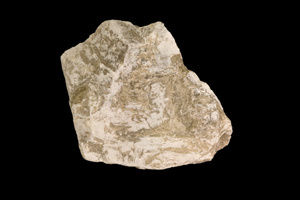 Erkek spermine zararı var mı?