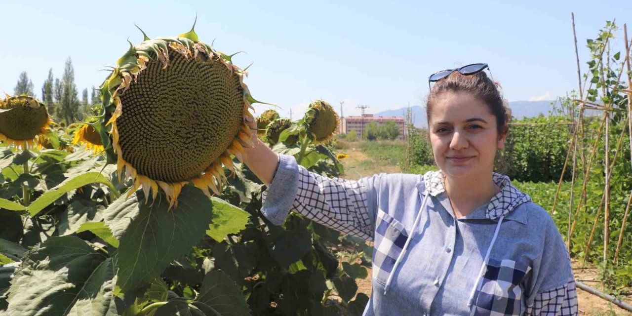 Organamineral gübre ile topraklarımız kurtarılacak