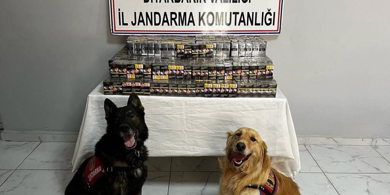 Jandarma ekipleri kaçakçılara geçit vermiyor