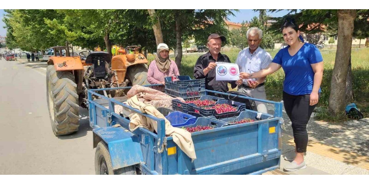 Coğrafi işaret alan Pazarlar kirazı denetlendi