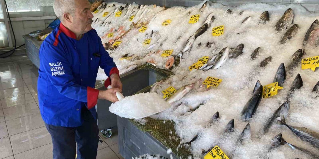 Sıcak havalarda balıklar tezgahta buzla korunuyor