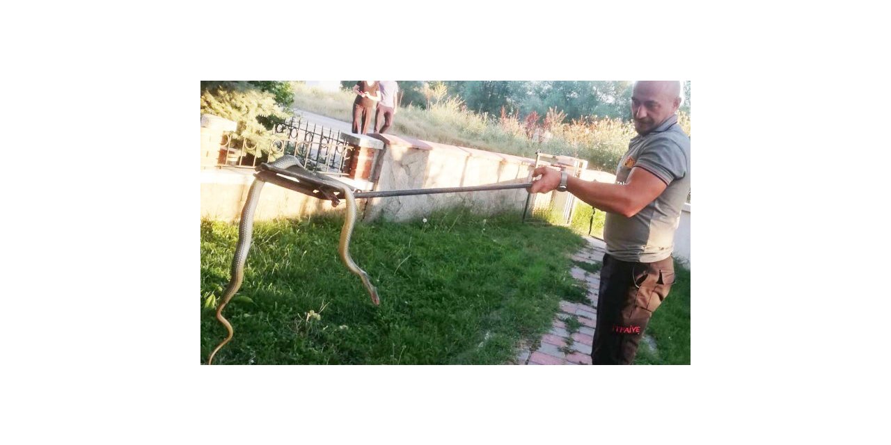 Tavşanlı’da araç motoruna giren yılan, itfaiye erleri tarafından çıkartıldı