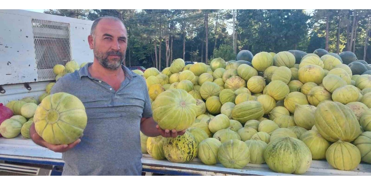 Çorum’un meşhur ’10 dilim kavunu’ tezgahlarda yerini aldı