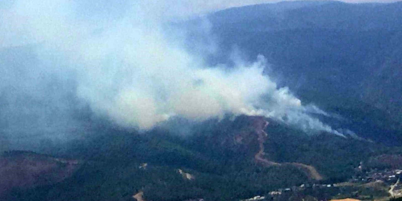 Hatay’da orman yangını