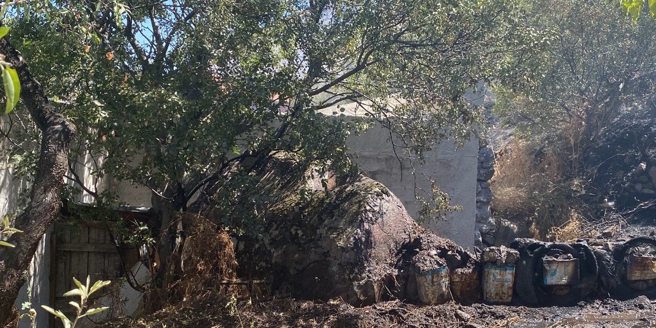 Yılanlı Dağı’ndaki yangın kontrol altına alındı