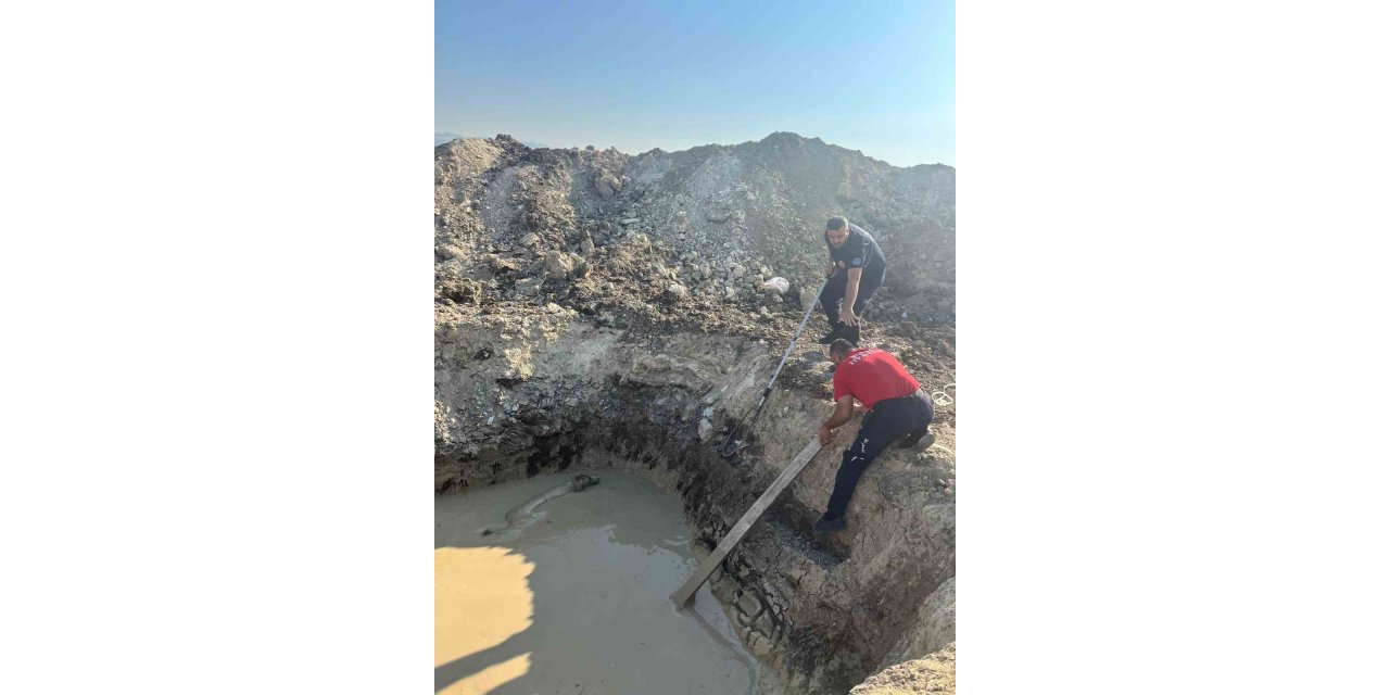 Kuyuya düşen köpeği itfaiye ekipleri kurtardı