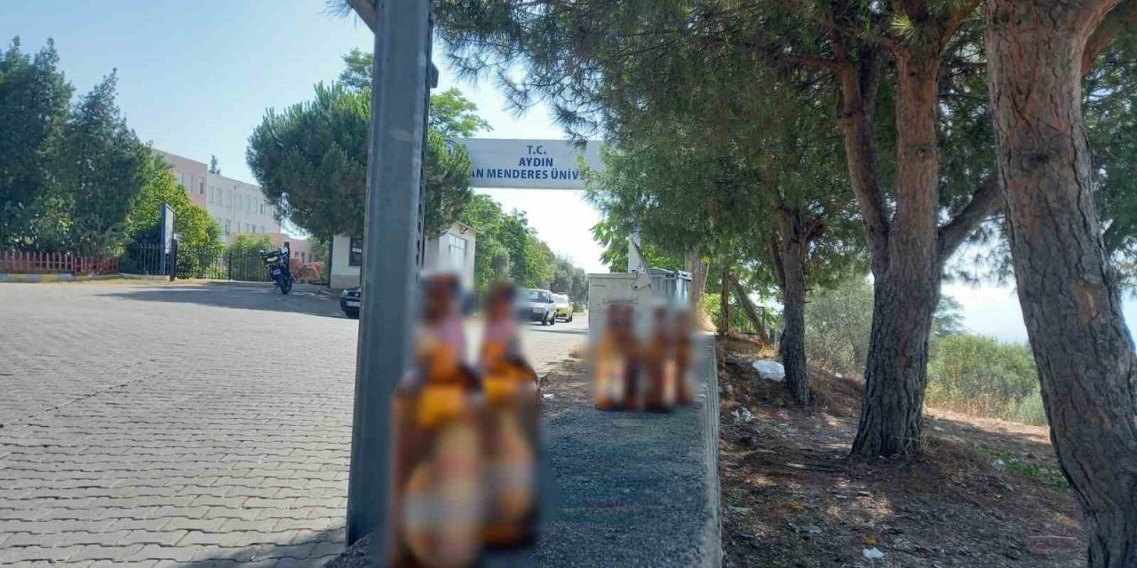 Aydın’a yakışmayan manzara