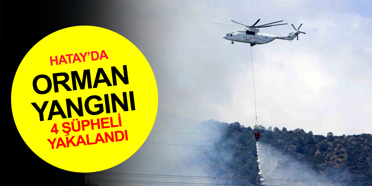 Hatay’da orman yangınları! 4 kişi gözaltına alındı