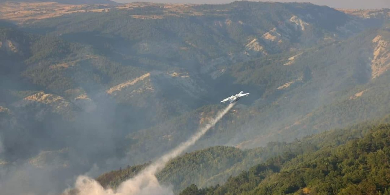 Bilecik’teki orman yangını kontrol altına alındı