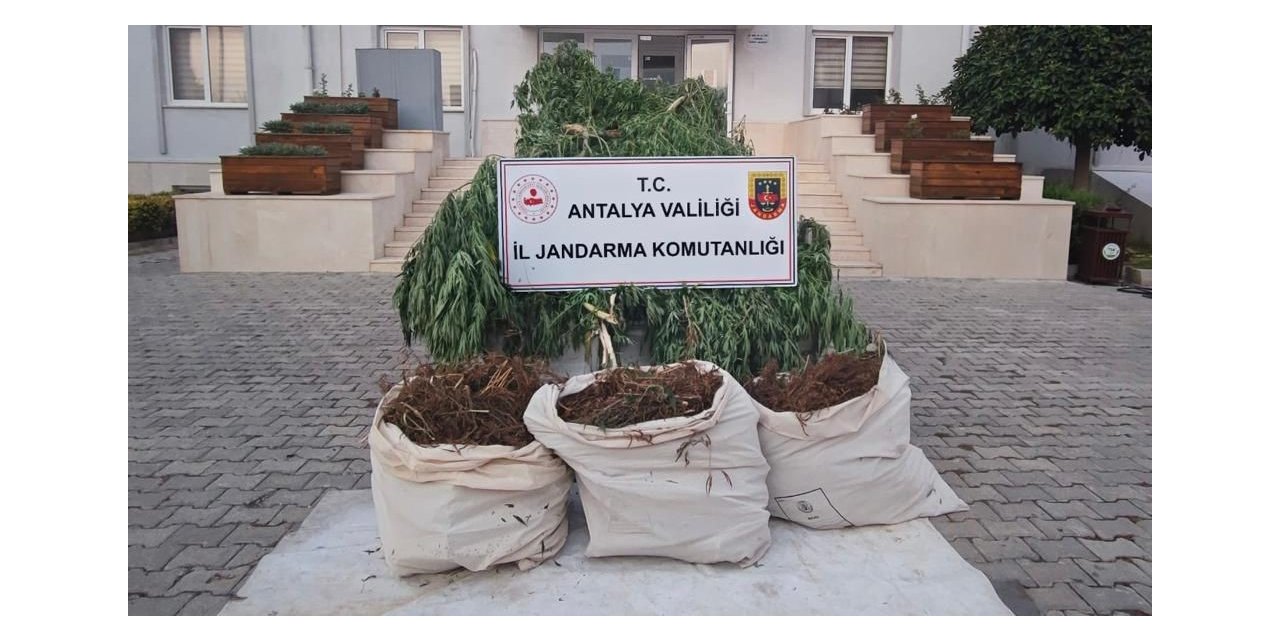 Serik’te jandarmadan uyuşturucu operasyonu: 3 gözaltı