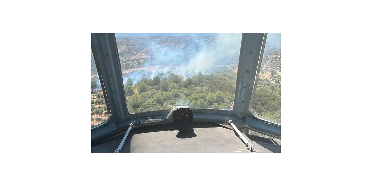 Aydın’daki orman yangını büyümeden söndürüldü