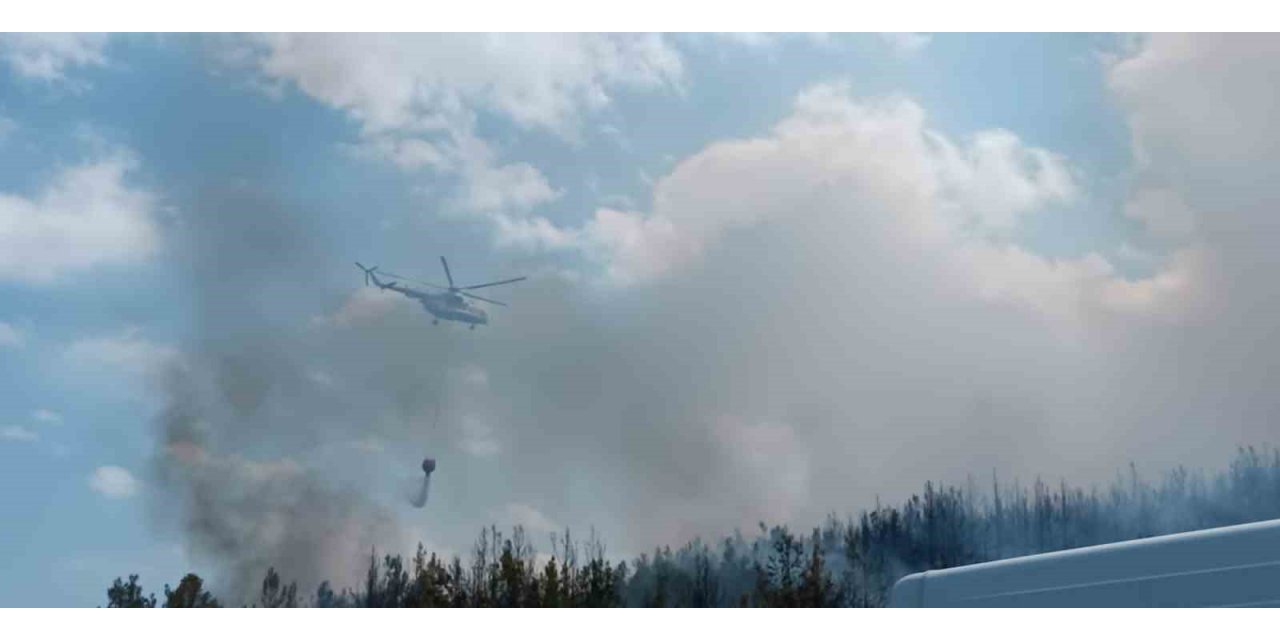 Lapseki’de orman yangını