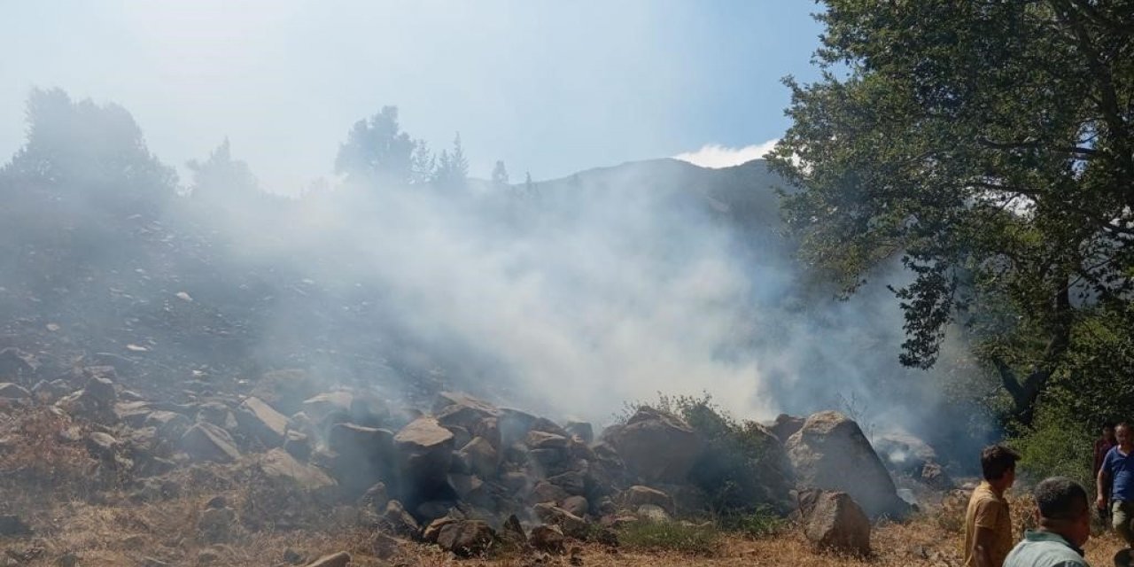Hatay’daki orman yangını ekiplerin müdahalesiyle kontrol altına alındı