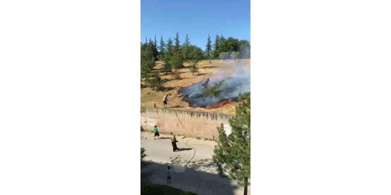 Çamlık arazide çıkan yangına ilk müdahaleyi vatandaş hortumla yaptı