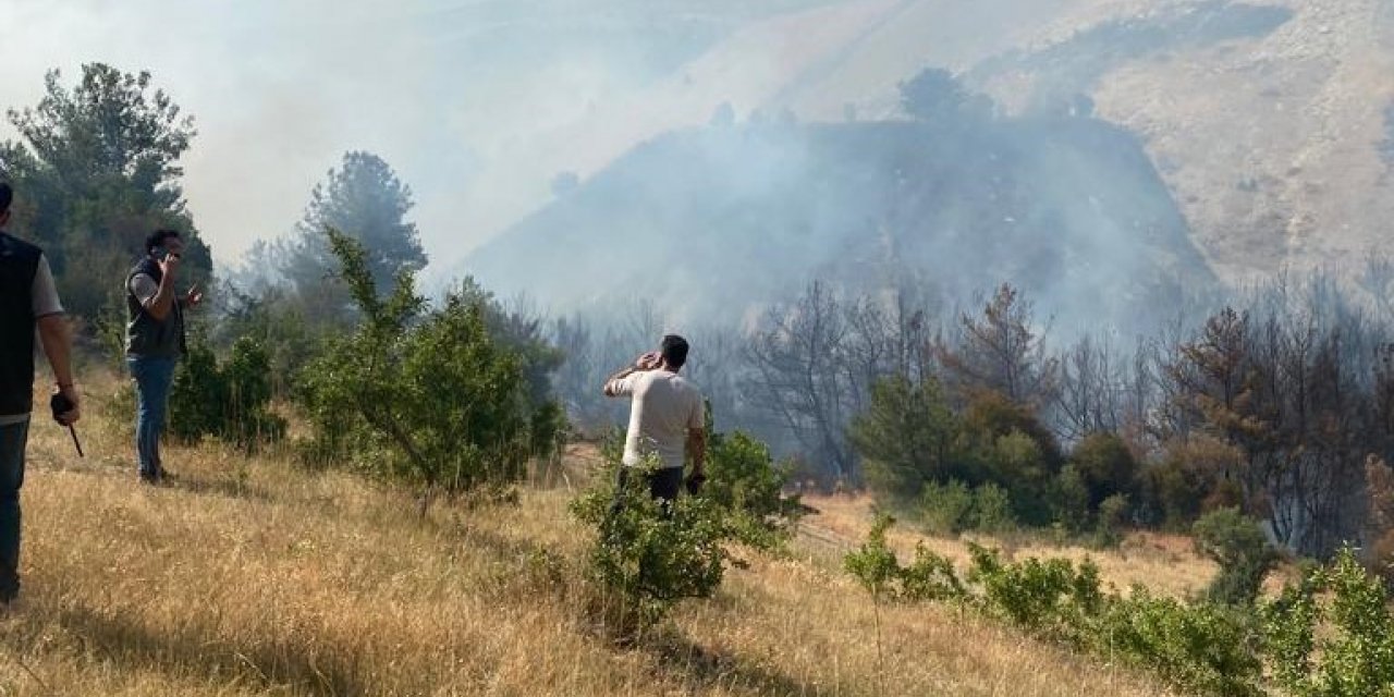 Manisa’da orman yangını
