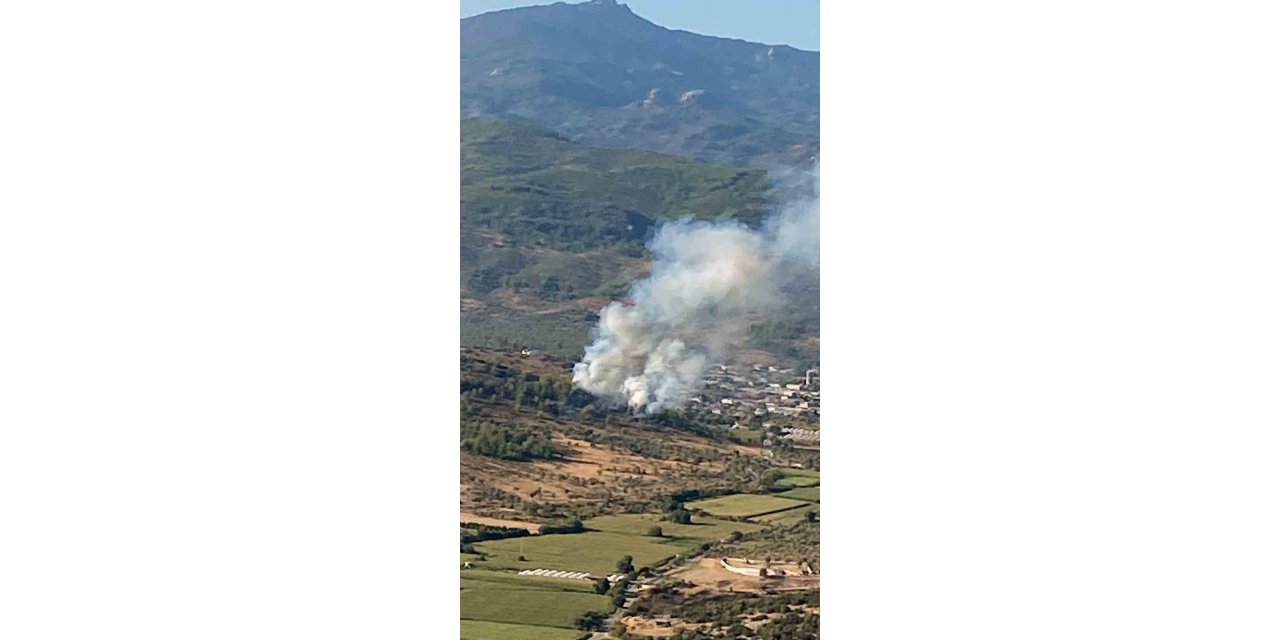 Milas’ta başlayan yangın ekiplerin müdahalesi ile söndürüldü