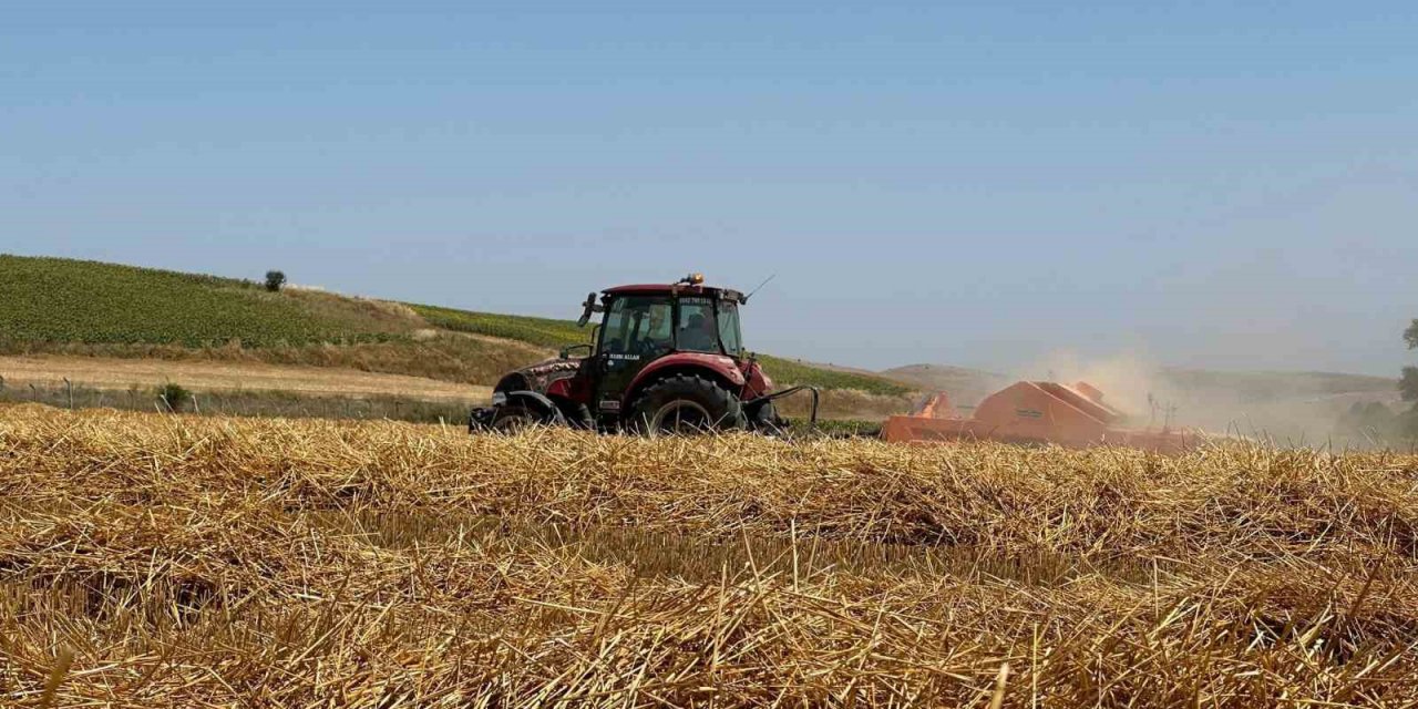 Buğday hasadından kalan saman hayvanlara yem olacak