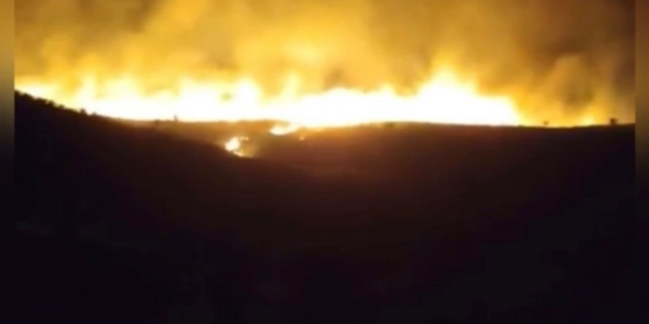 Karacadağ Bal Ormanı’nda yangın