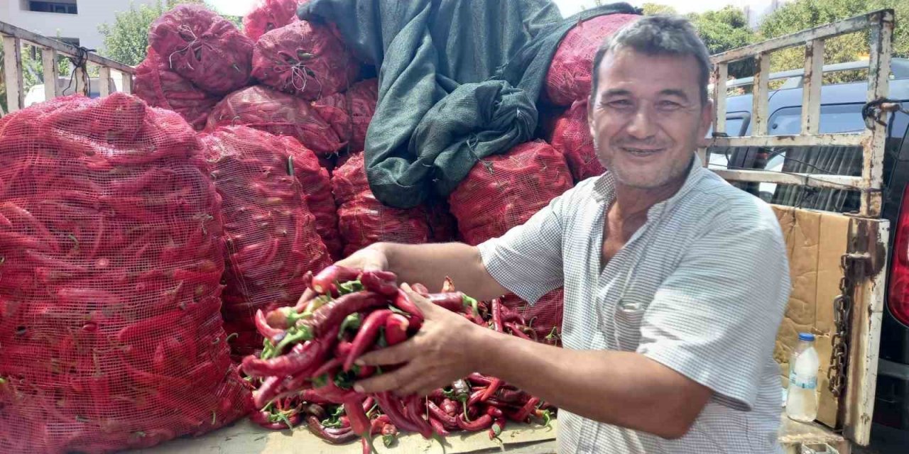 Aydın’ın kavurucu sıcağı ilin ekonomisini canlandırdı