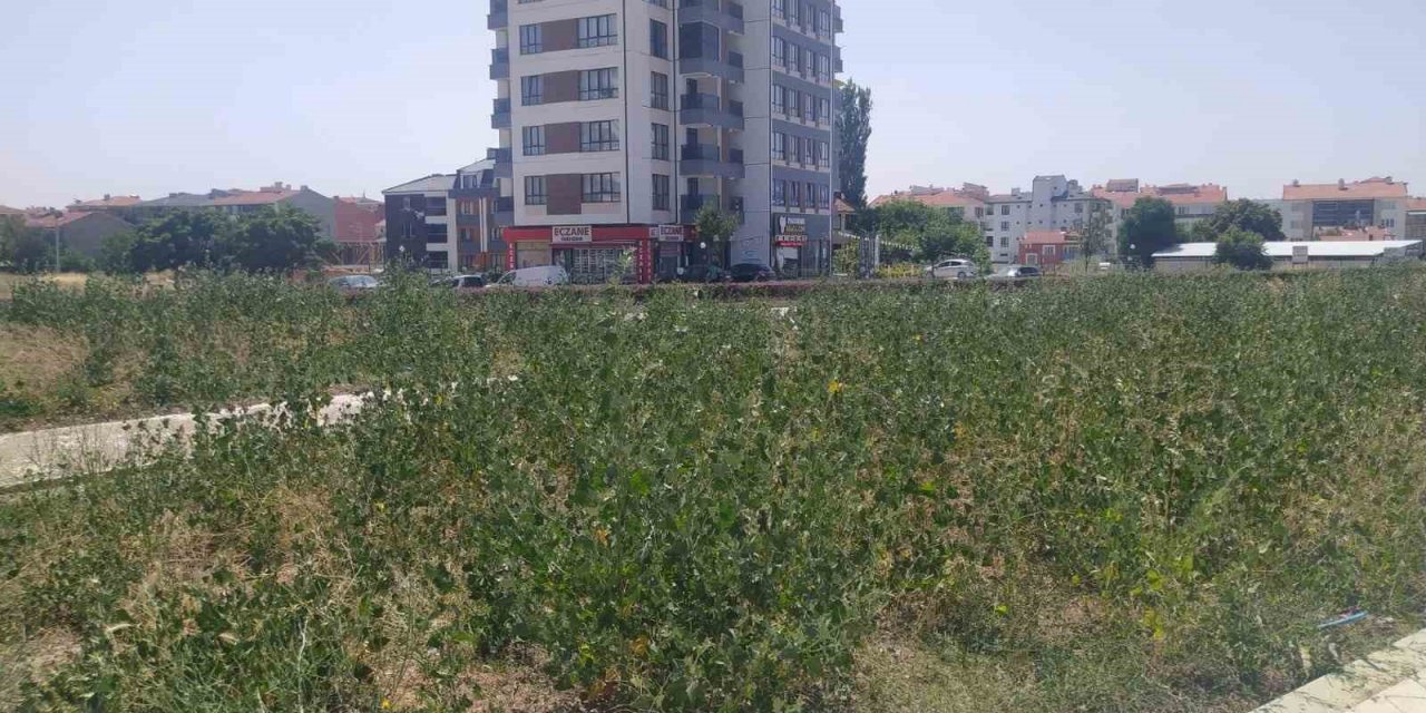 Bu parkın yapımı neden yarım bırakıldı?