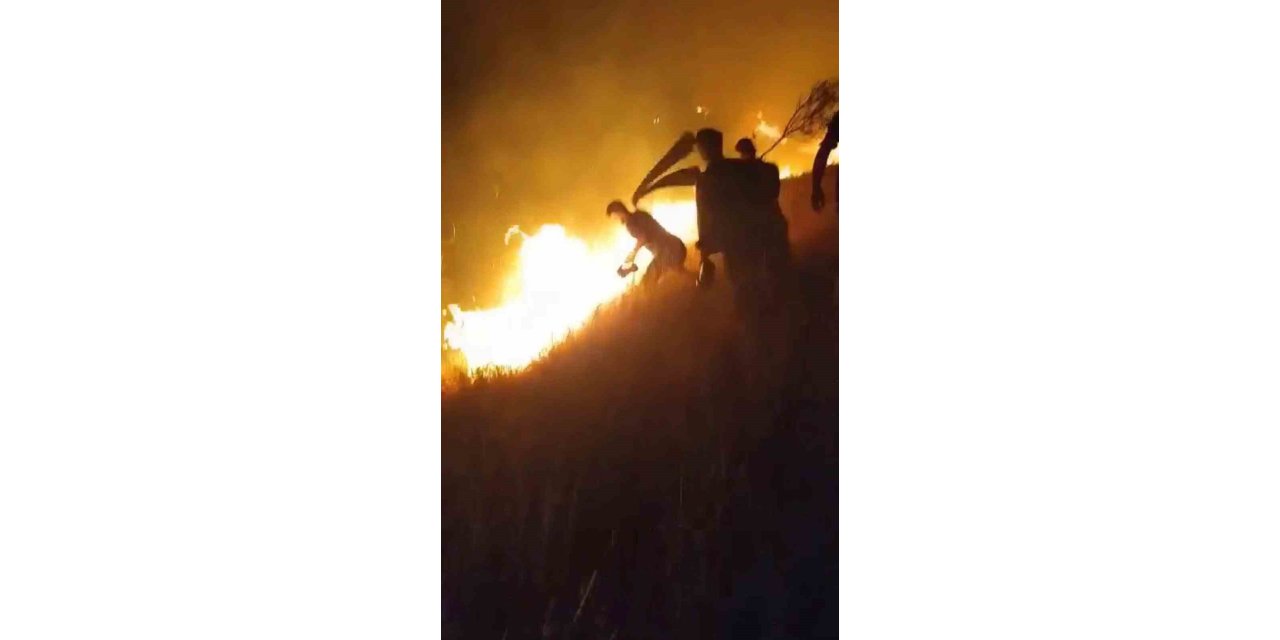 Karacadağ Bal Ormanı’nda çıkan yangın kontrol altına alındı