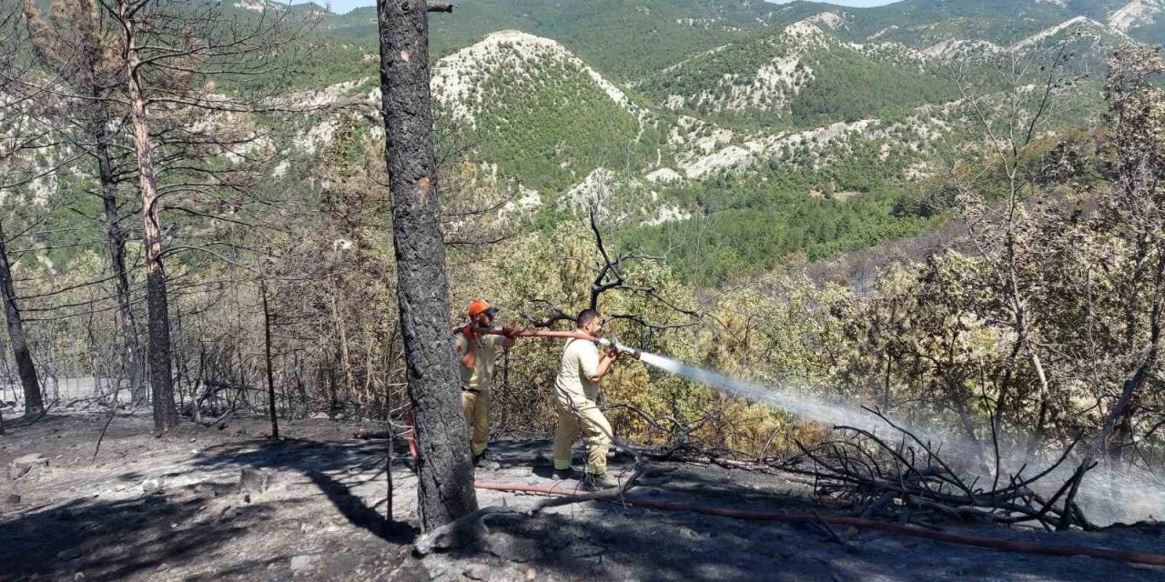 Bilecik’te tamamen sönen orman yangını alanında soğutma işlemleri devam ediyor