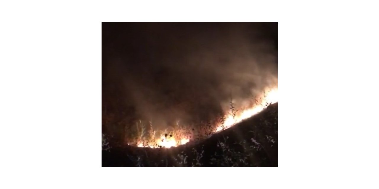 Tunceli’de korkutan yangın