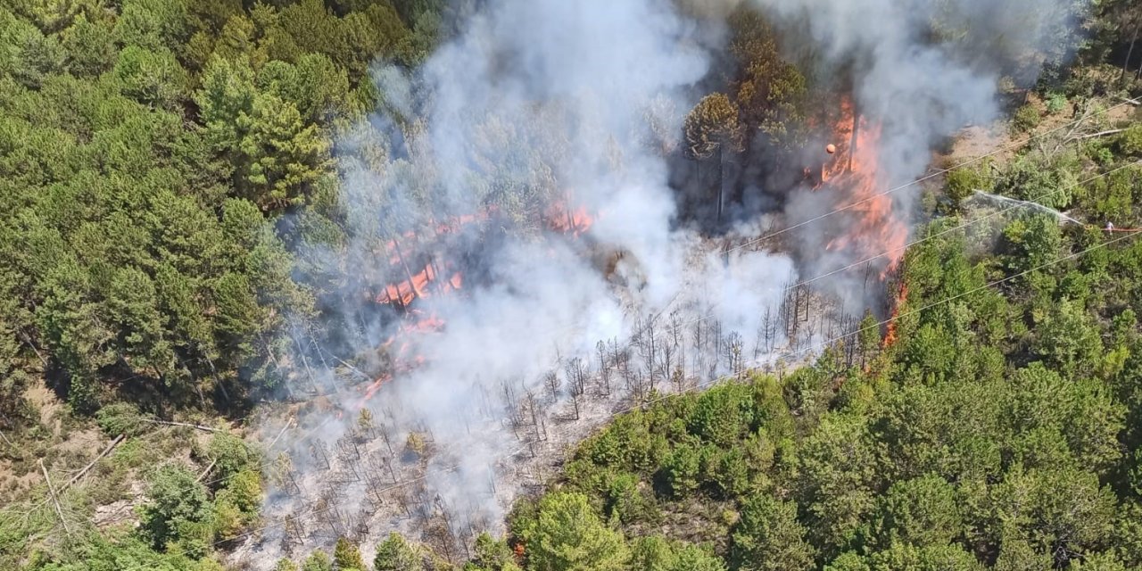 Muğla’da orman yangını
