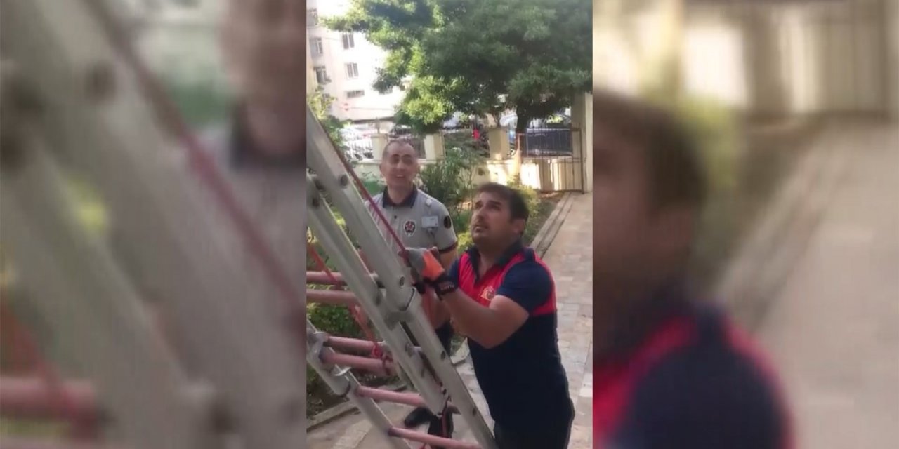 Yuvasından düşen yavru kuş, itfaiye ekiplerince kurtarıldı