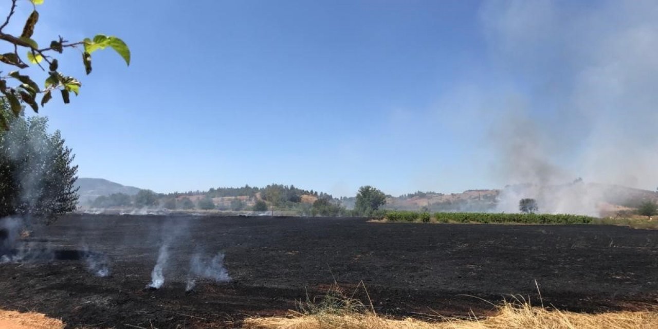 Anızda başlayan yangın ekili arazilere sıçradı