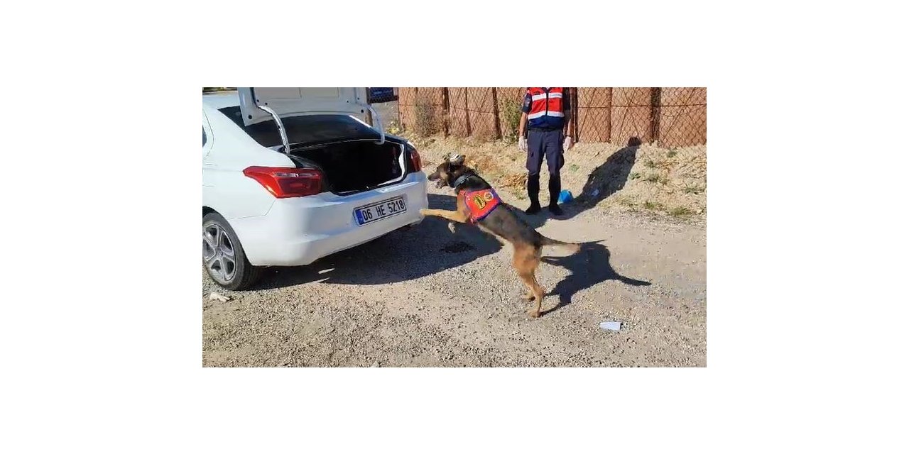 ’Raket’ tepki verdi, 7 kilo 428 gram esrar ele geçirildi