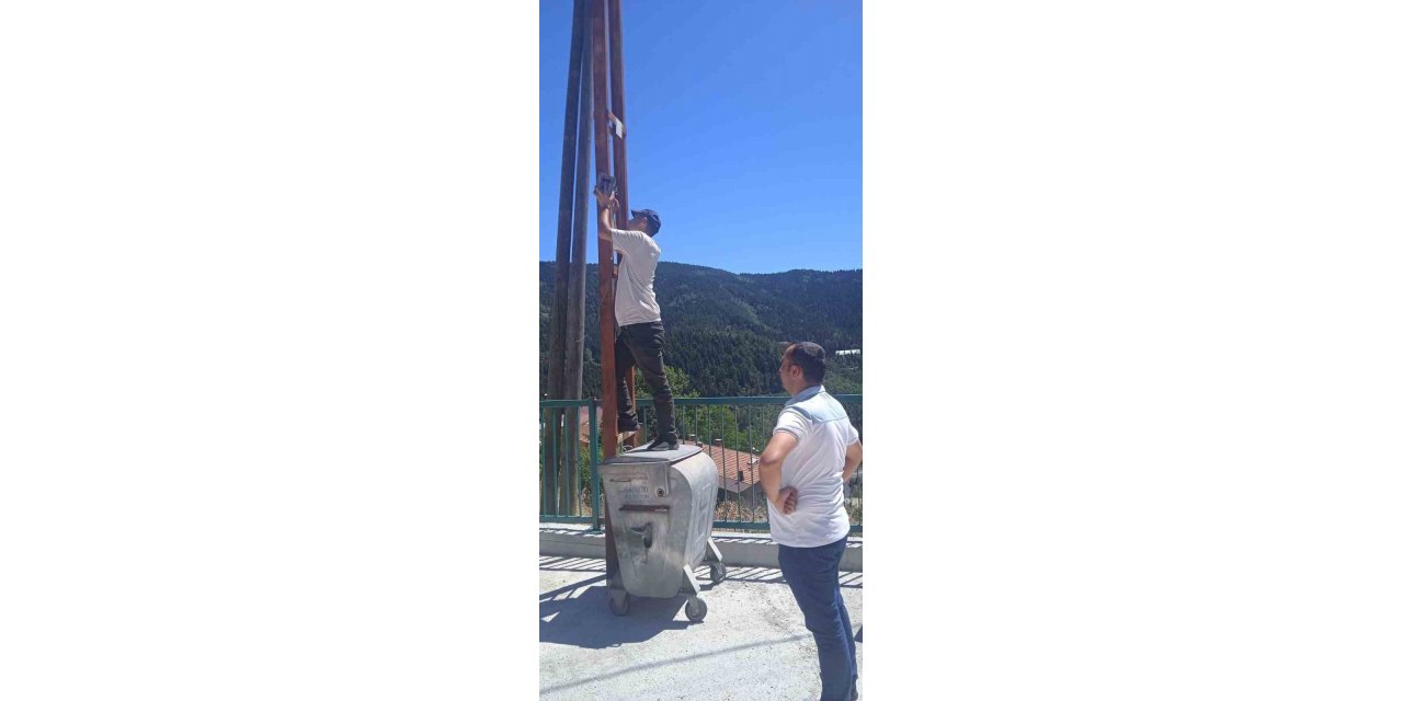 Kastamonu’da ilçe merkezine inen ayılar kamerayla izlenecek