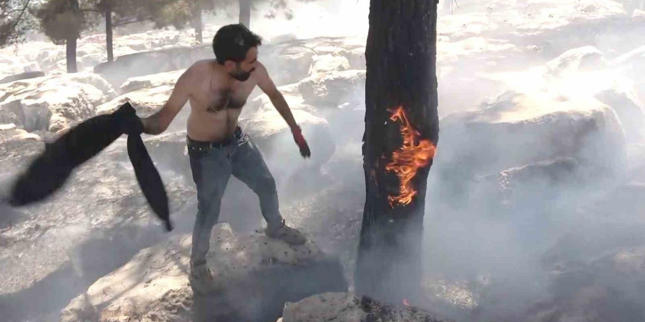 Alev alev yanan ağacı tişörtüyle söndürdü