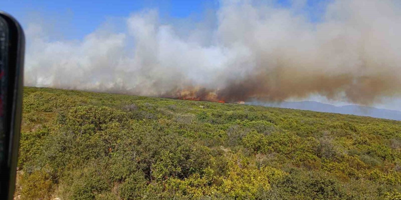 Didim’de makilik ve zirai alan yangını