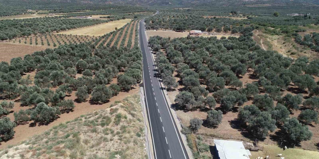 Hem zeytinlikler hem de işçiler tozdan kurtuldu