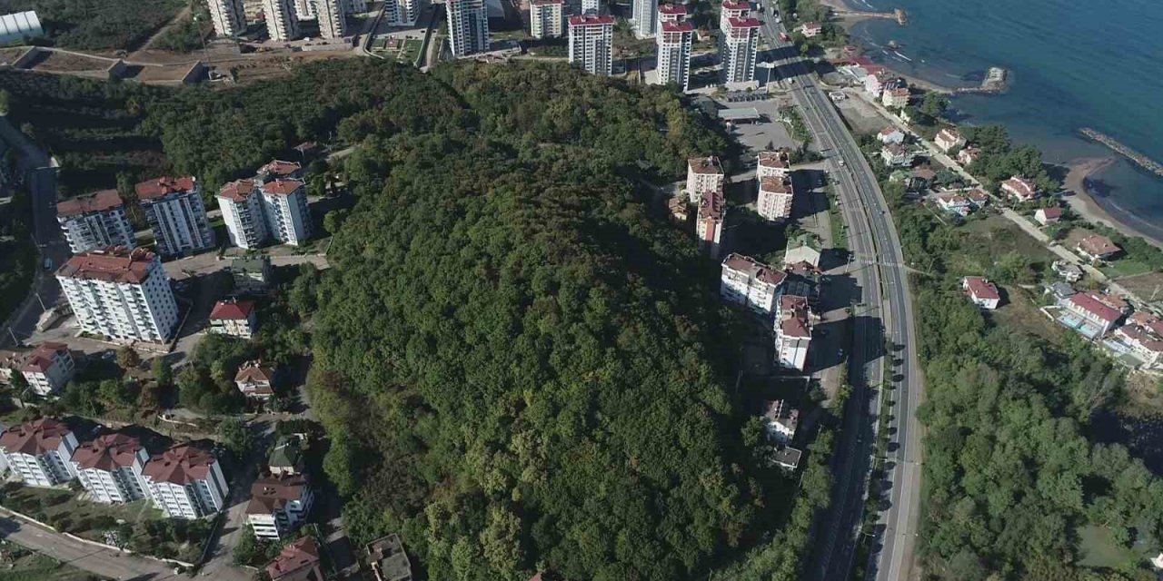 Fatsa’da vatandaşlar bu projeyi bekliyor