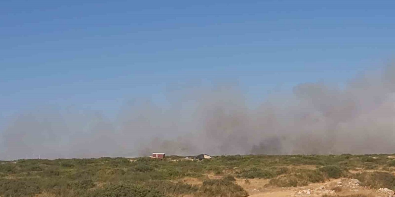 Didim’deki yangını söndürme çalışmaları devam ediyor